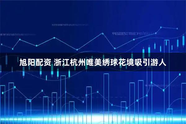 旭阳配资 浙江杭州唯美绣球花境吸引游人