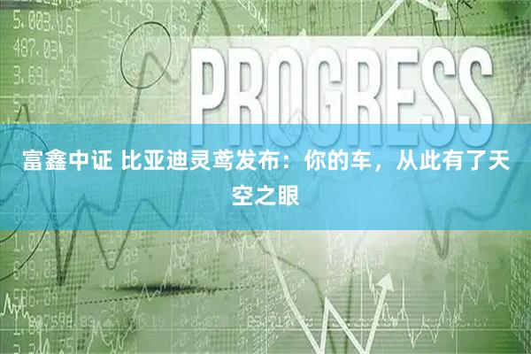 富鑫中证 比亚迪灵鸢发布：你的车，从此有了天空之眼