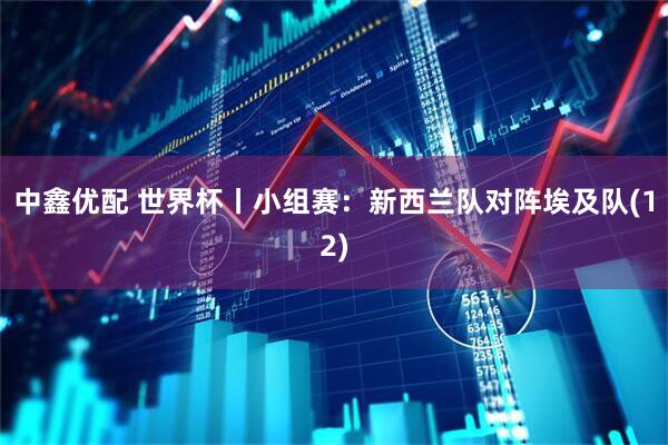 中鑫优配 世界杯丨小组赛：新西兰队对阵埃及队(12)