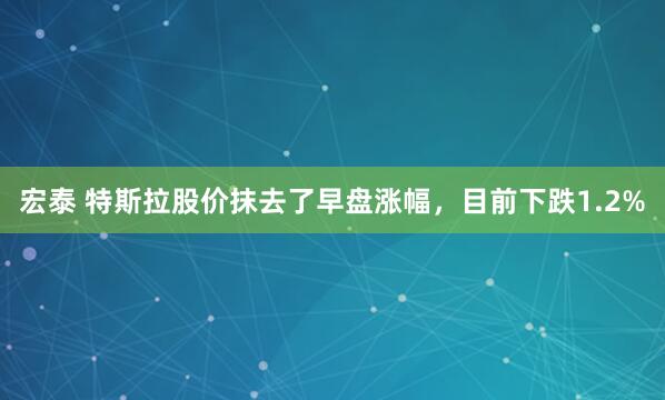 宏泰 特斯拉股价抹去了早盘涨幅，目前下跌1.2%