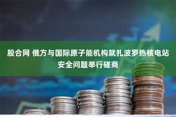 股合网 俄方与国际原子能机构就扎波罗热核电站安全问题举行磋商
